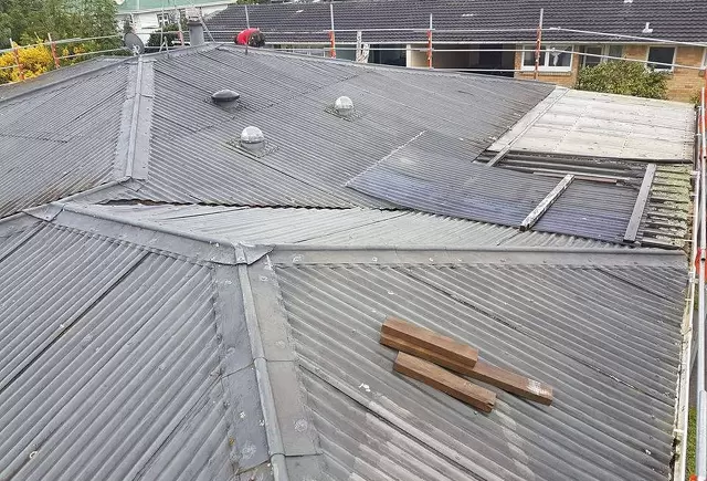 The Importance of Regular Roof Maintenance for Homeowners in the Waikato